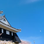 七夕そろばんワールド２０１８　大会成績